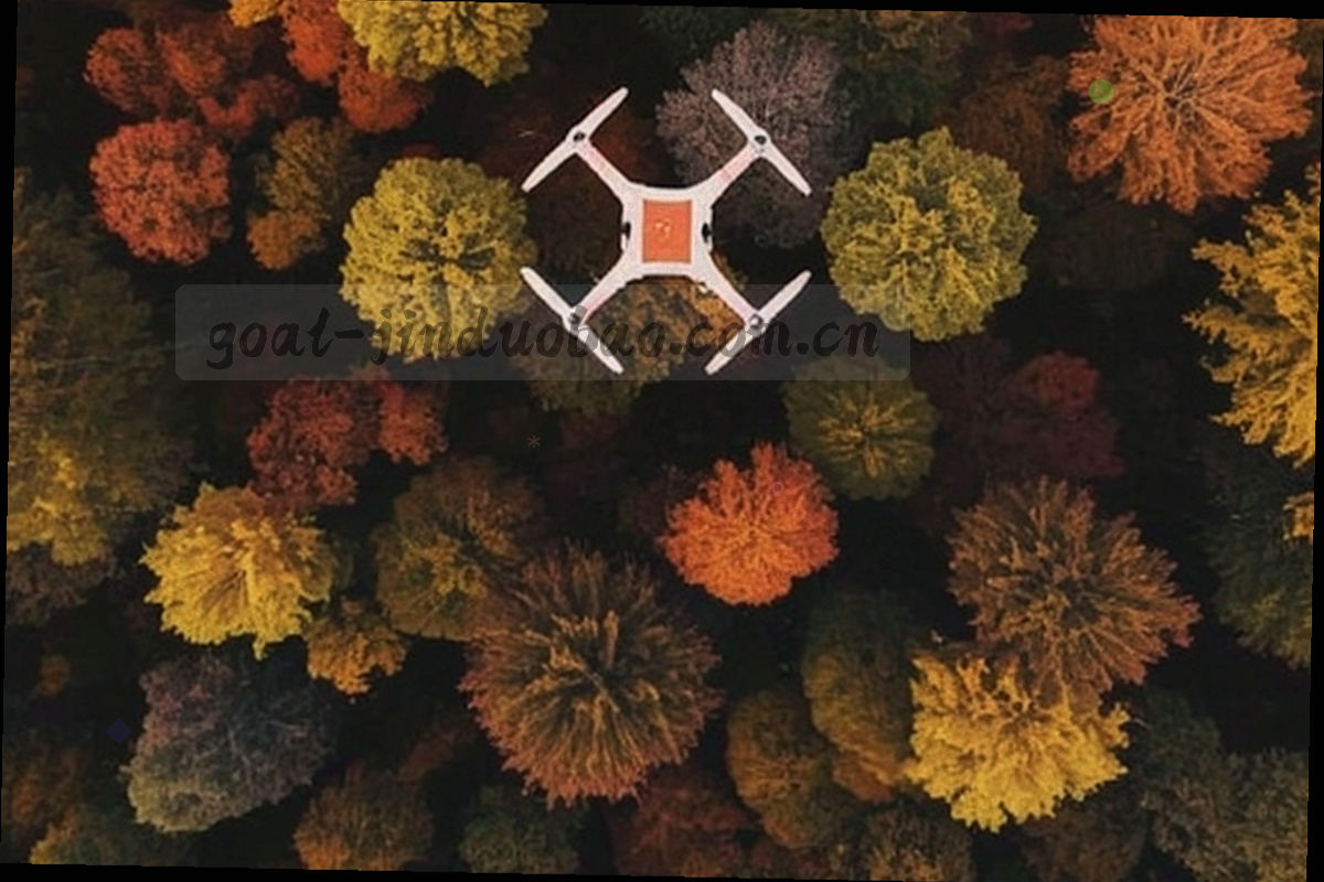 由细线与节点构成的信息流向抽象纹理，表现记录从产生到使用的路径